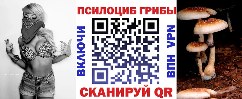 цены наркотик  Жуковский  Галлюциногенные грибы Cubensis 