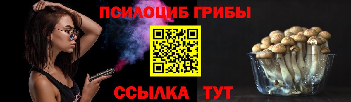 Псилоцибиновые грибы мухоморы  сколько стоит  Жуковский  Вход с VPN 